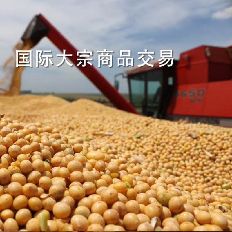 海口贸易公司的现状与趋势